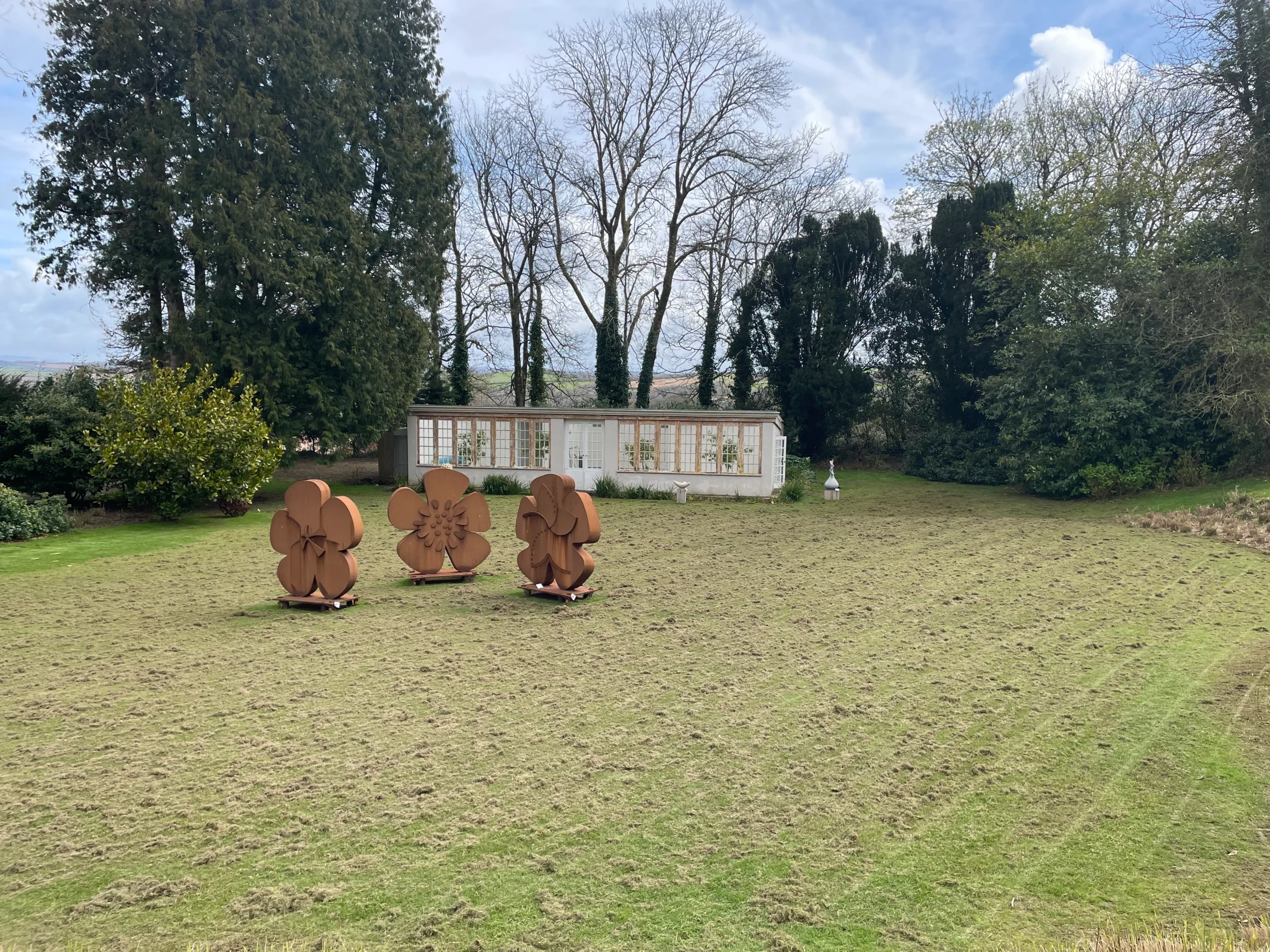 Patchy lawn before scarification and renovation by Cornish Lawns